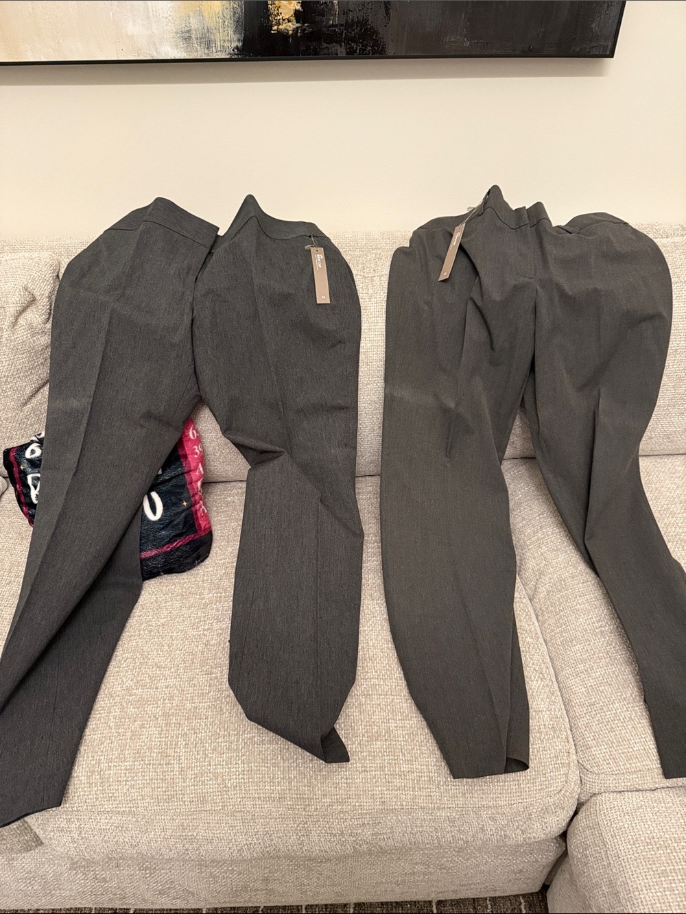 LOFT Women's Tailored Dress Trousers in Charcoal